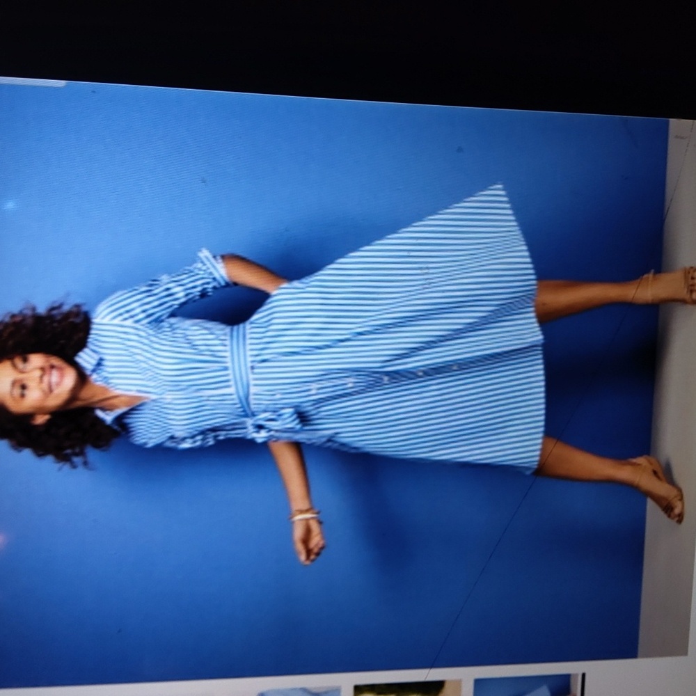 Talbots Blue and White Striped Long Sleeve Dress